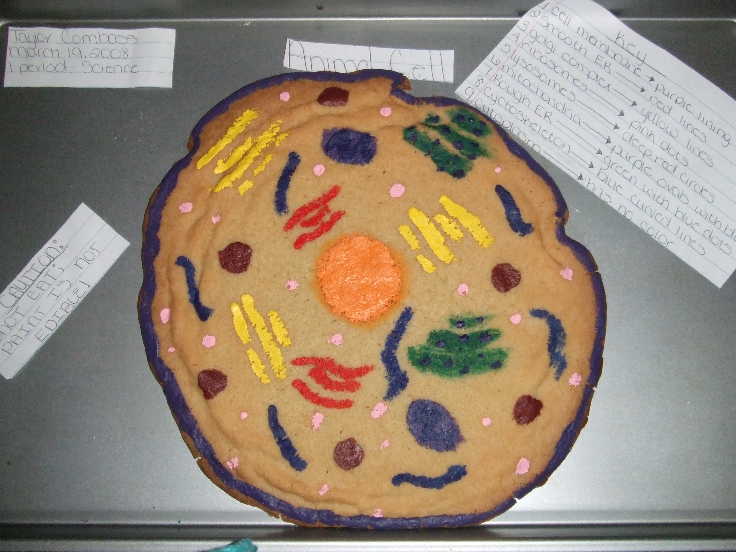 Animal+Cell+School+Project+Ideas Cell Project - Powered By OnCourse Systems For Education